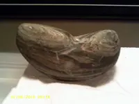 IMAG0062.webp