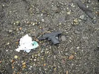 DSCN0948.webp