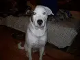 avatar_45881.webp