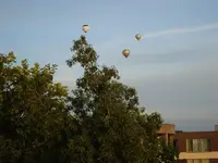Ballonnen 001.webp