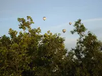 Ballonnen 002.webp