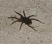 IMG_0120_crop.webp