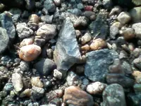 !cid__0716100902.webp