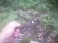 080500_1350[00].webp