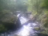 080500_1400[00].webp