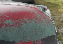 morris 013.webp