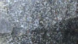 phpj3Ua6bPM.webp