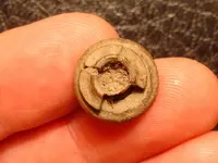 button_b.webp