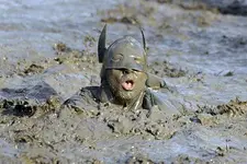 11116089.webp