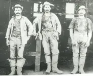 olminers.webp