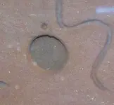 hole depth.webp