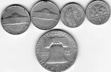 silver back.webp