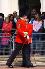 398px-Colour_Sergeant,_Welsh_Guards,_with_pace_stick.webp