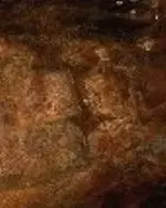 Copy of Picture 010.webp