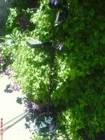 DSC01158.webp