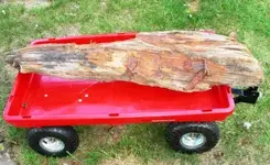 timber1.webp