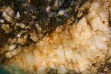 quartz_veinrock4.webp