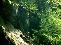 Picture 015.webp