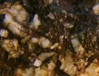quartz_veinrock4crop.webp