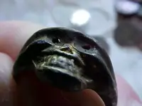 Ring1.webp