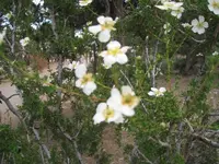 IMG_1881.webp