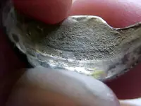 Ring2.webp