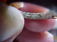 Ring3.webp