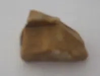 shard1b.webp