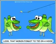 fish.webp