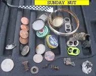 829NUT.webp