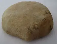 stone1.webp