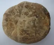stone1bottom.webp