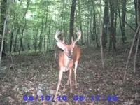 PIC_0158.webp PIC_0158.webp