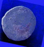 coinphoto.webp