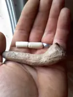 jerrys dads pipe.webp
