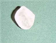 pearl button front.webp