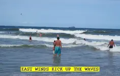 8151.webp