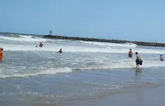 8152.webp