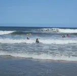 8153.webp