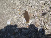 004.webp
