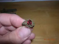DSCN3871.webp