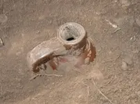 lil brown jug 1.webp