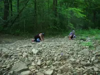 creek hunting 1.webp