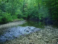 creek hunting 2.webp