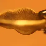 NC FINDS 8-15 015.webp