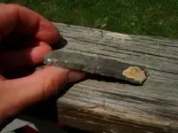 paleo 3.webp