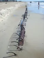 outer banks 07.webp
