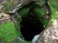 AUG 21ST CELLAR HOLES WITH FRANK 005 [].webp
