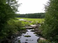 AUG 21ST CELLAR HOLES WITH FRANK 008 [].webp