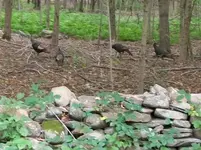 AUG 21ST CELLAR HOLES WITH FRANK 012 [].webp